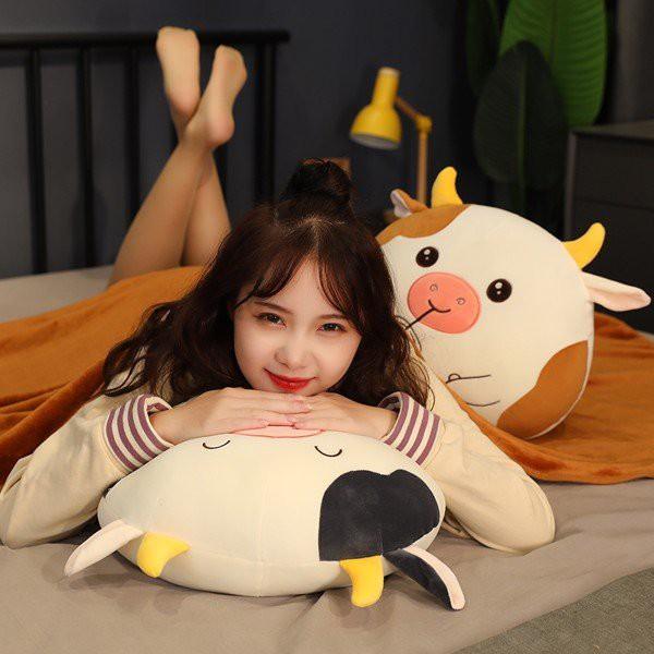 Gối Mền Bò Sữa 3in1