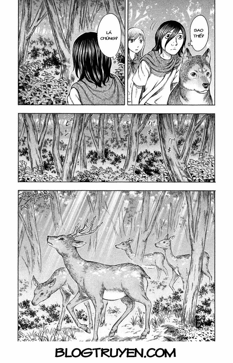 đảo tự sát chapter 60 11