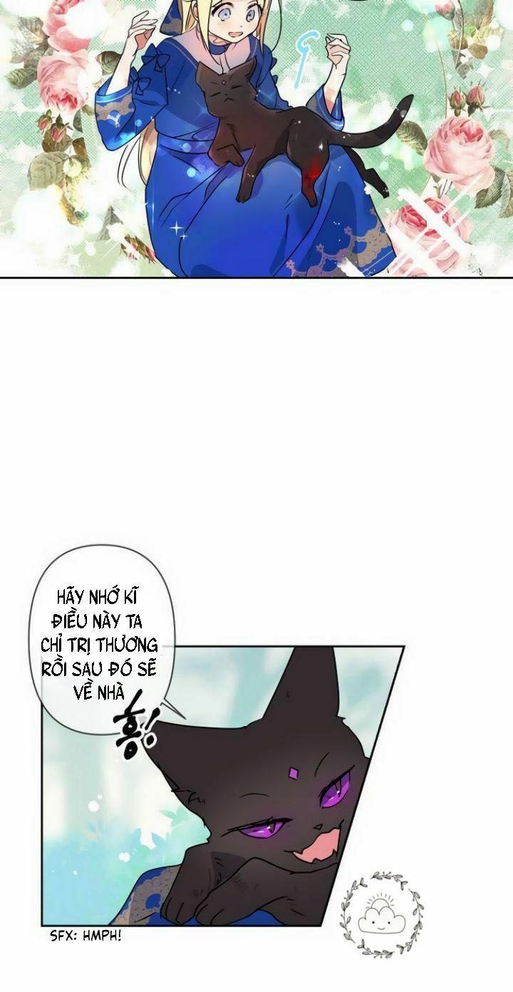 tôi đang nuôi dưỡng một con quái thú chapter 3 24