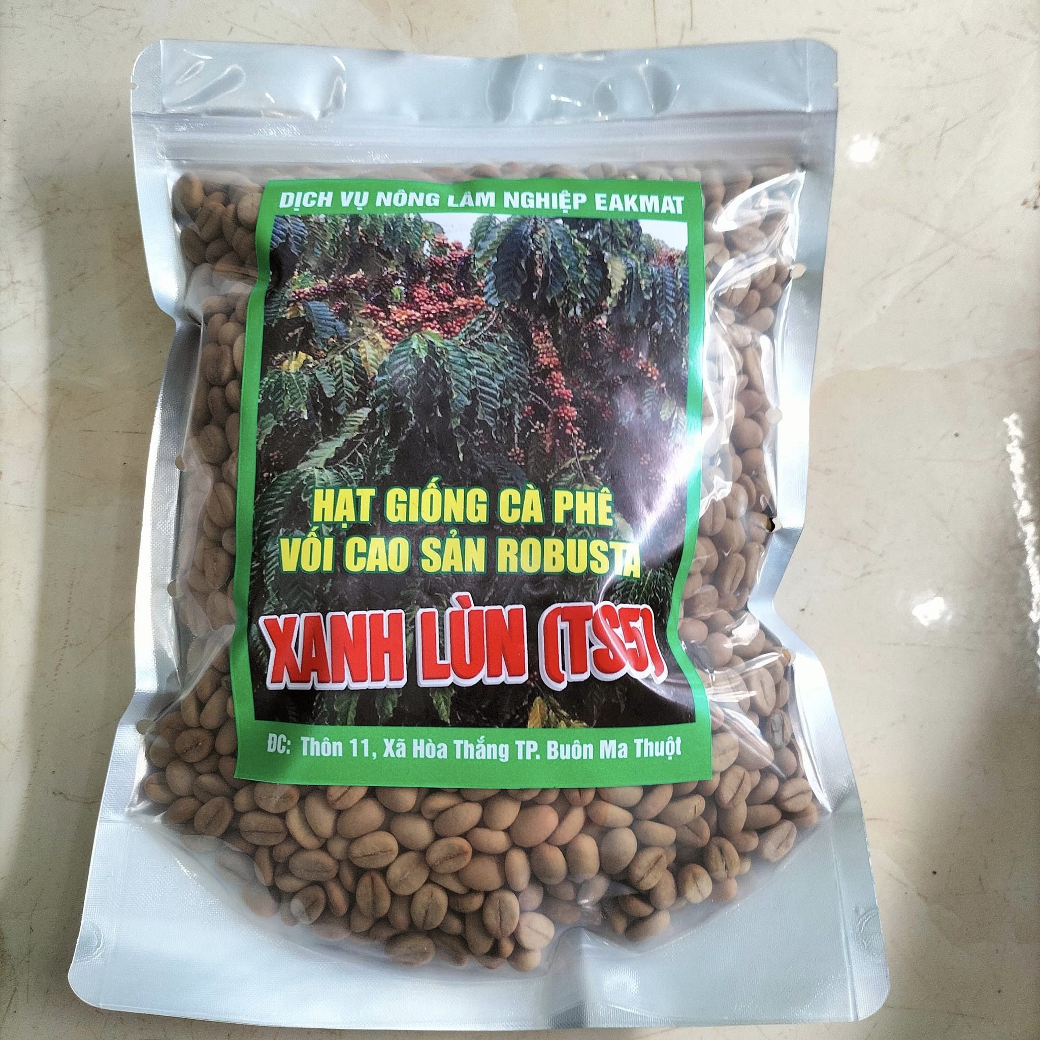 500gram hạt cà phê xanh lùn giống