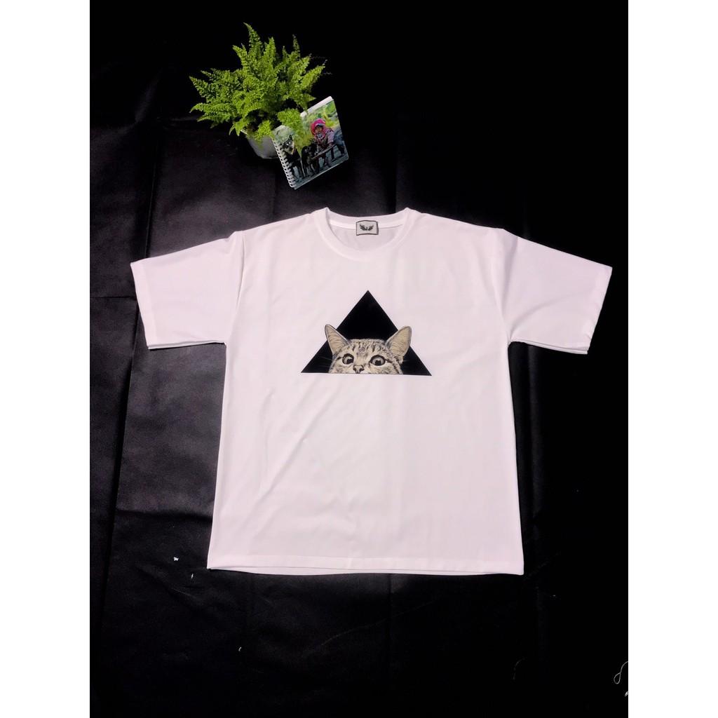 Áo Thun Unisex Form Rộng Tay Lỡ In Hình Mèo