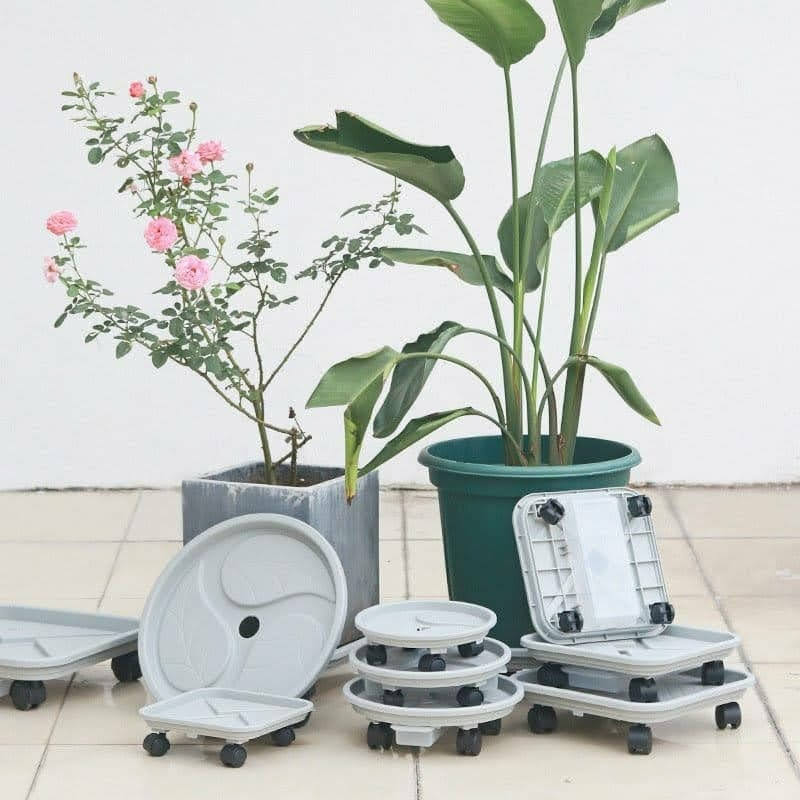 Đế lót chậu thông minh kết hợp khay hứng nước và bộ 4 bánh di chuyển cực kỳ tiện lợi