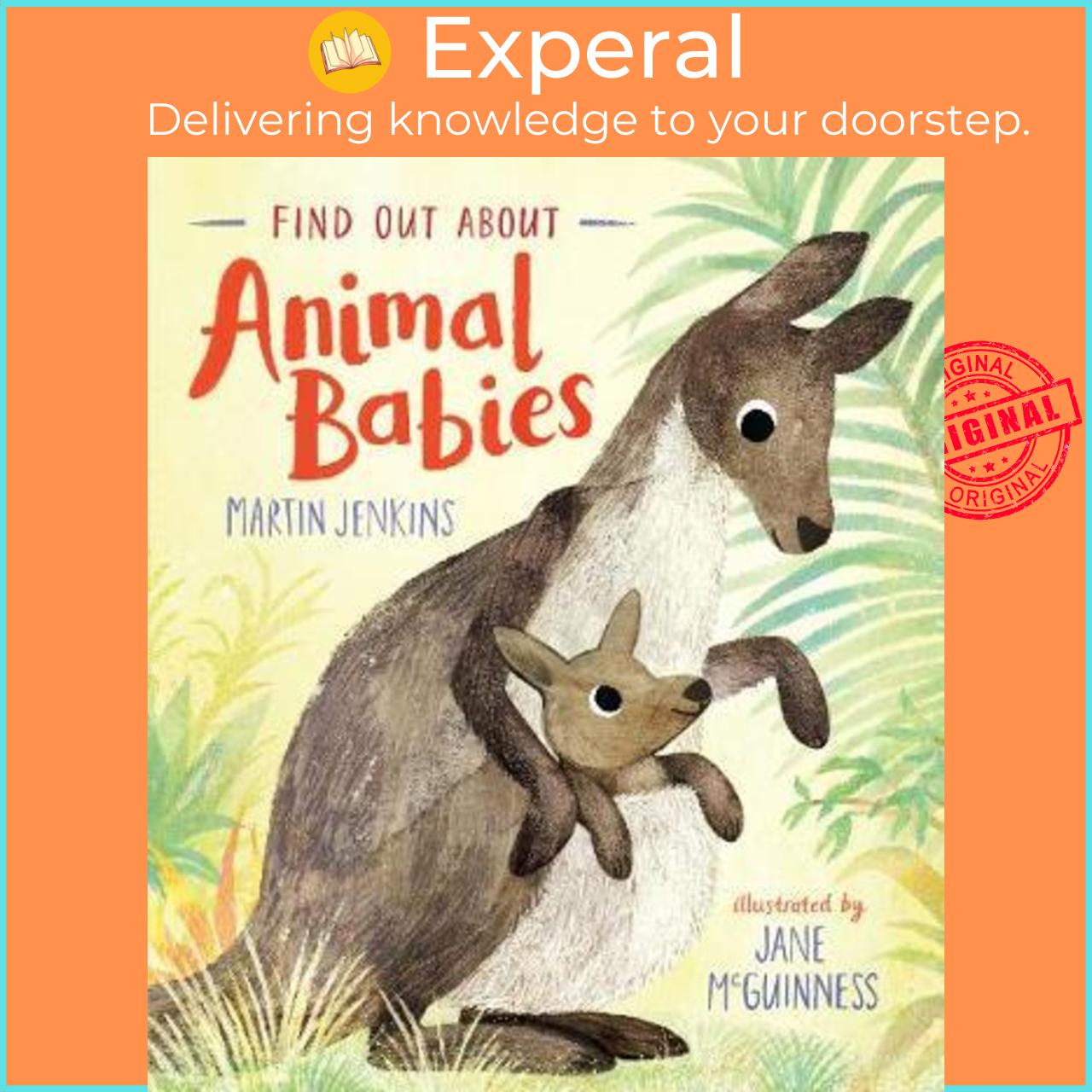 Sách - Find Out About ... Animal Babies by Martin Jenkins Jane Mcguinness
