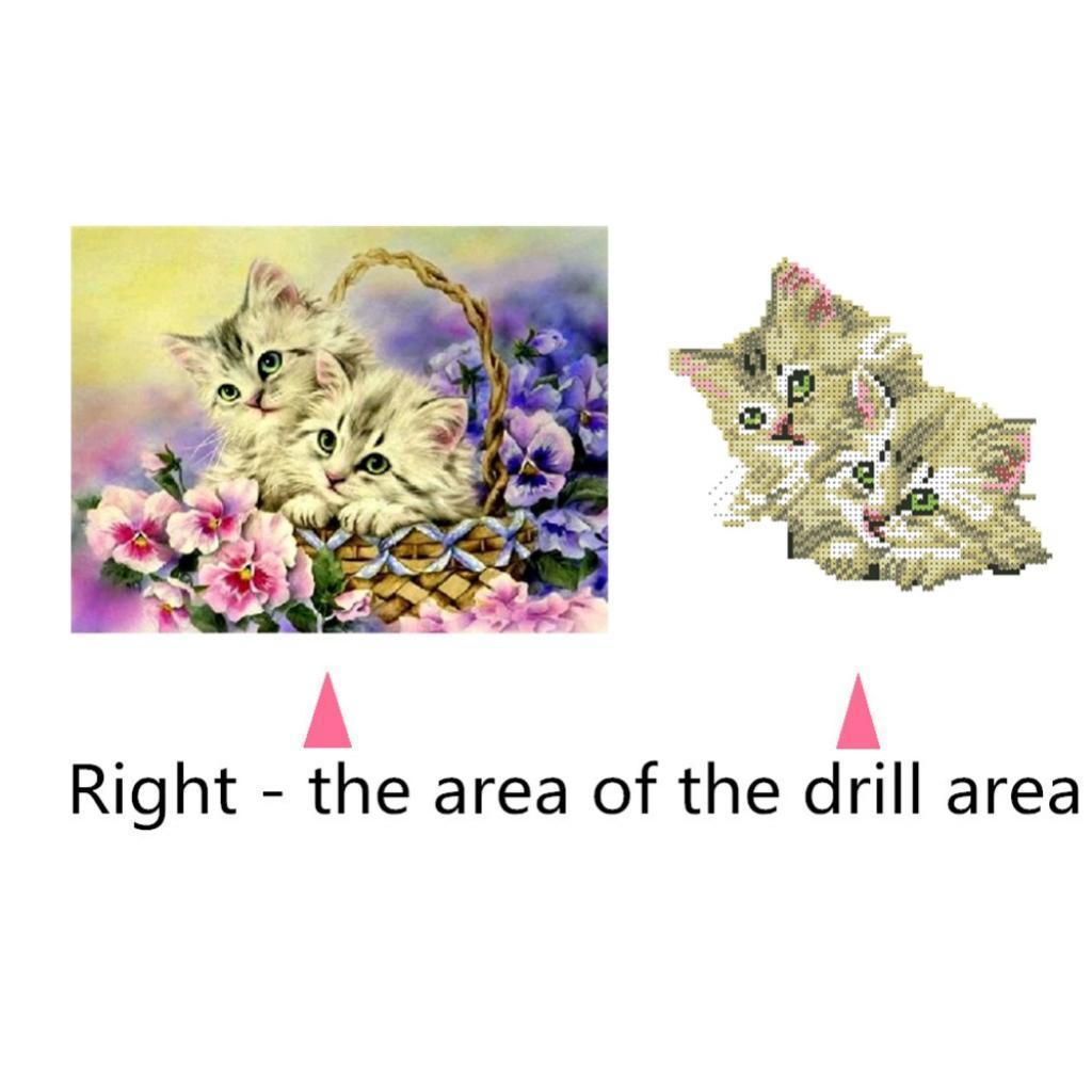 DIY 5D Diamond Painting Cat Rhinestone Picture Embroidery Kit for Home Decor