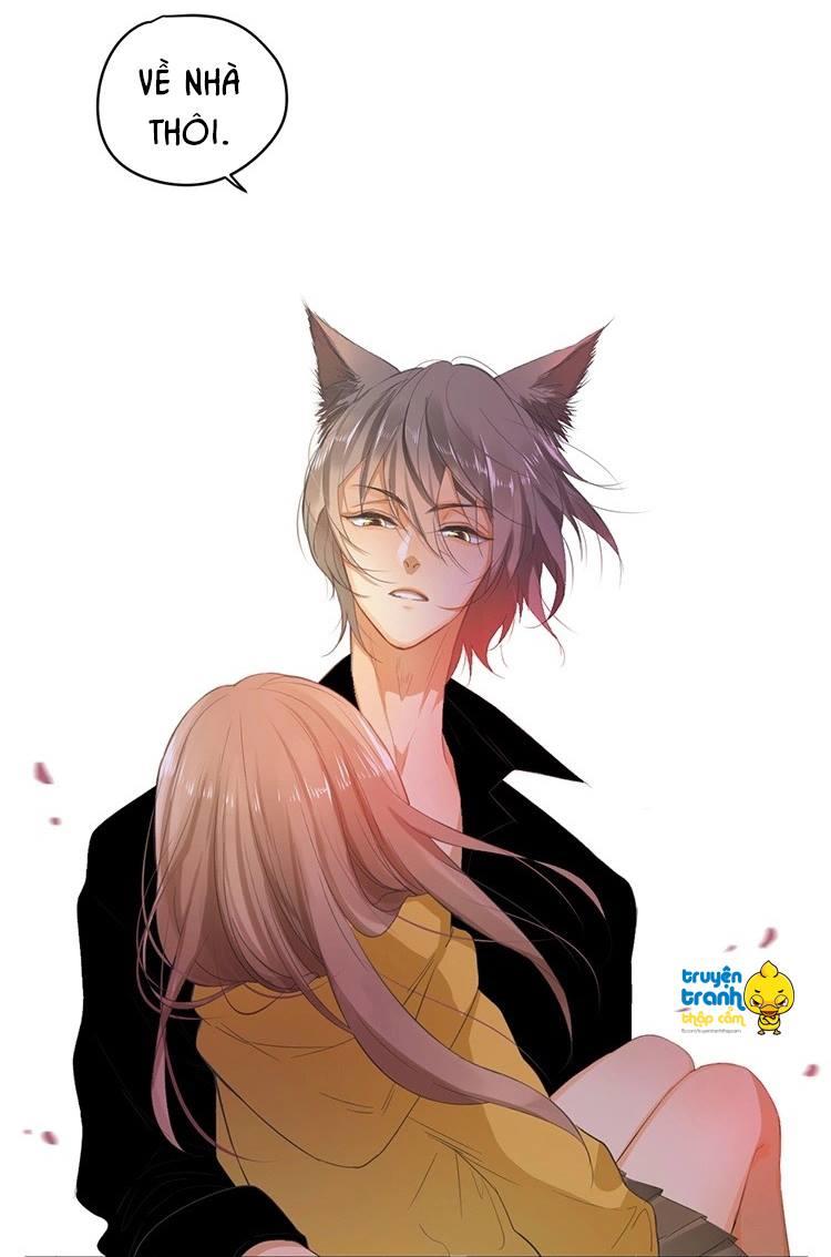 cứu mạng ! loài mèo thống trị thế giới rồi ! chapter 23 14