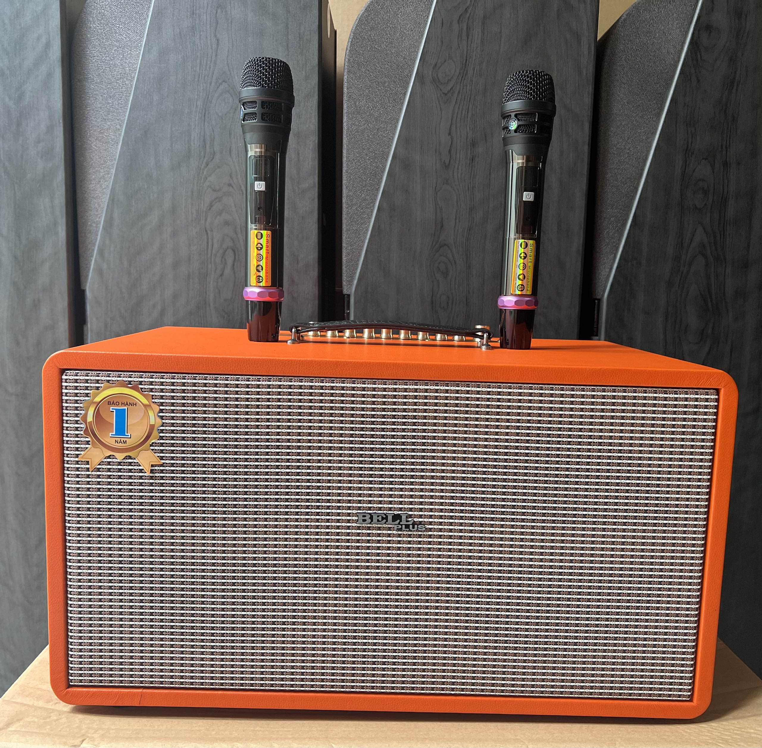 Loa kéo xách tay di động Bellplus bass 20 đôi 2 chép cao cấp
