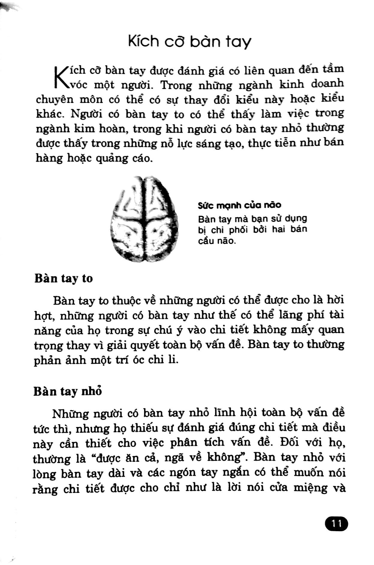 Giải Mã Bí Ẩn Bàn Tay