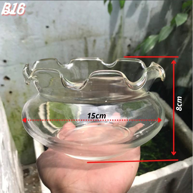 Bể cá mini, chậu cá để bàn TAI BÈO