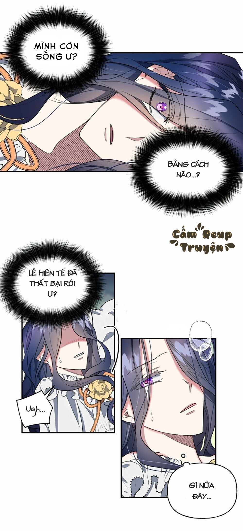 công chúa hiến tế – cấm reup truyện chapter 2 33