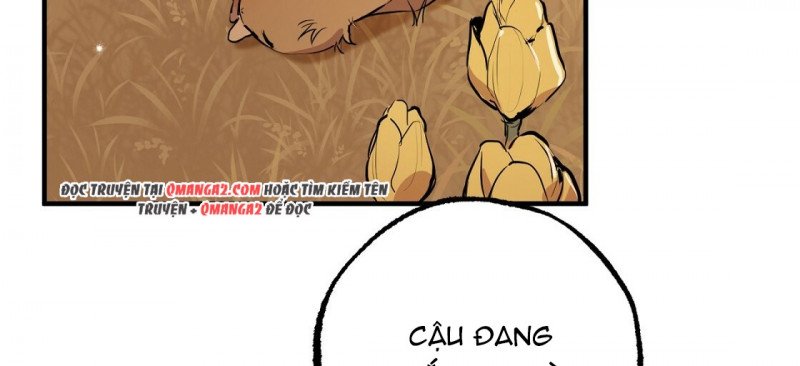 những chú thỏ của hapypy chapter 23.5 136