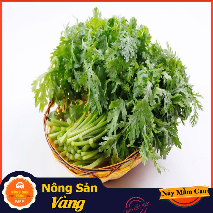 Hạt giống Rau Cúc Té , Rau Tần Ô ( Gói 20 Gram ) - Nông Sản Vàng