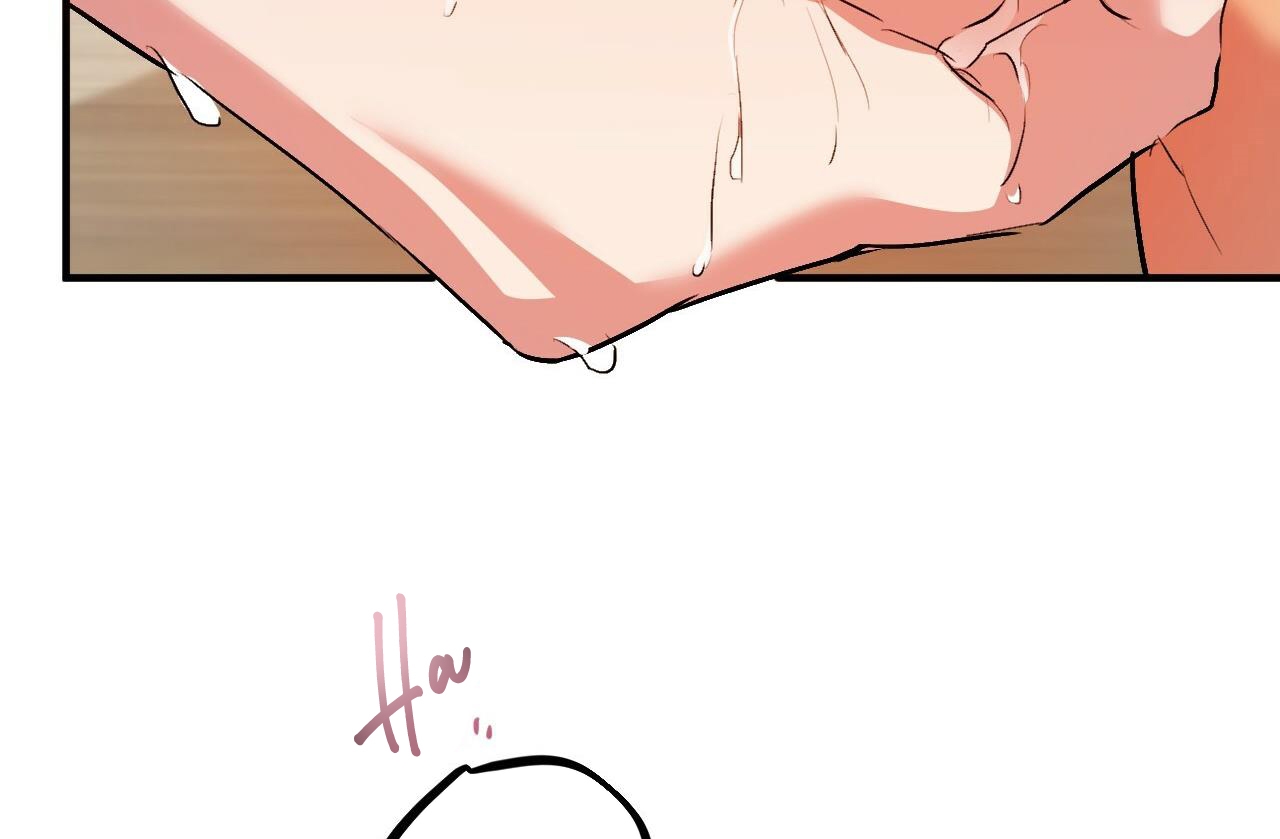 đàn thỏ của habibi chapter 43 147