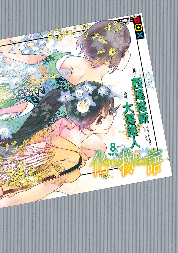 Bakemonogatari 8 (Special Edition) (Japanese Edition)