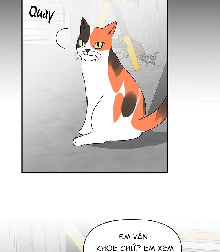 xác suất tình yêu chapter 39 55