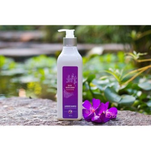 Dầu Gội Tinh Dầu Oải Hương Lavender Tự Nhiên Trần Mao - Dầu Gội Dưỡng Tóc Chắc Khỏe, Bóng Mượt