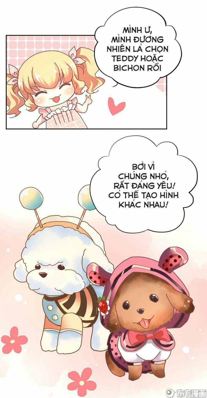 cô gái đặc biệt nhất của tôi chapter 33 3