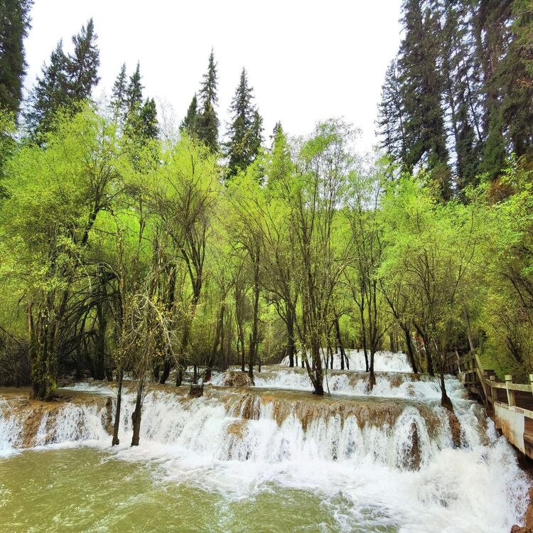 Trung Quốc: Thành Đô - Cửu Trại Câu Thiên đường hạ giới - Đô Giang Yển - Lạc Sơn Đại Phật - Công Viên Gấu Trúc