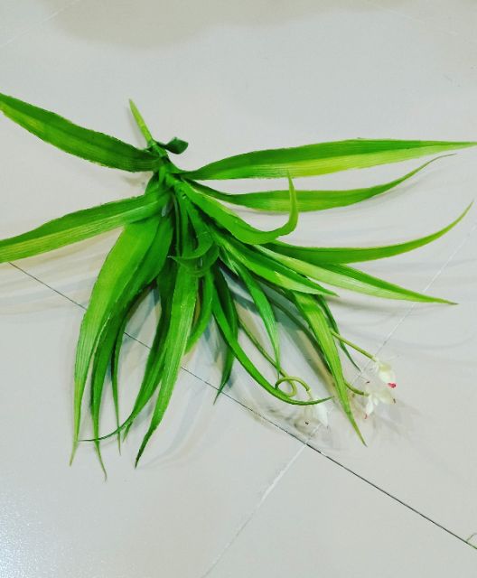 Cụm lá lan giả trang trí- Cụm lá điểm - Cỏ điểm trang trí cao cấp