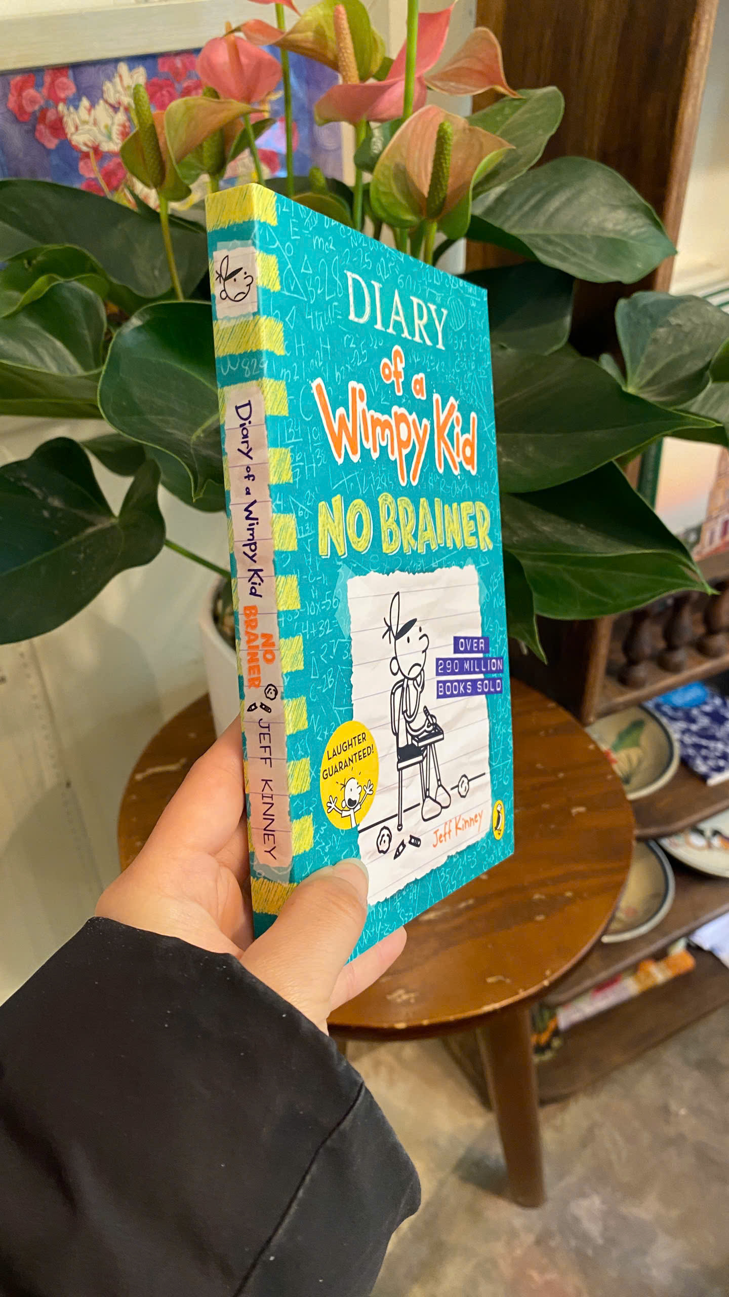 Sách - Diary of a Wimpy Kid: No Brainer by Jeff Kinney | Children’s Book / Ngoại văn Thiếu nhi