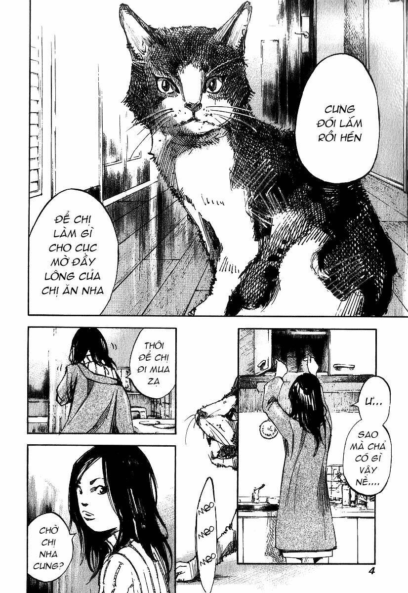 skyhigh: shinshou chapter 5 6