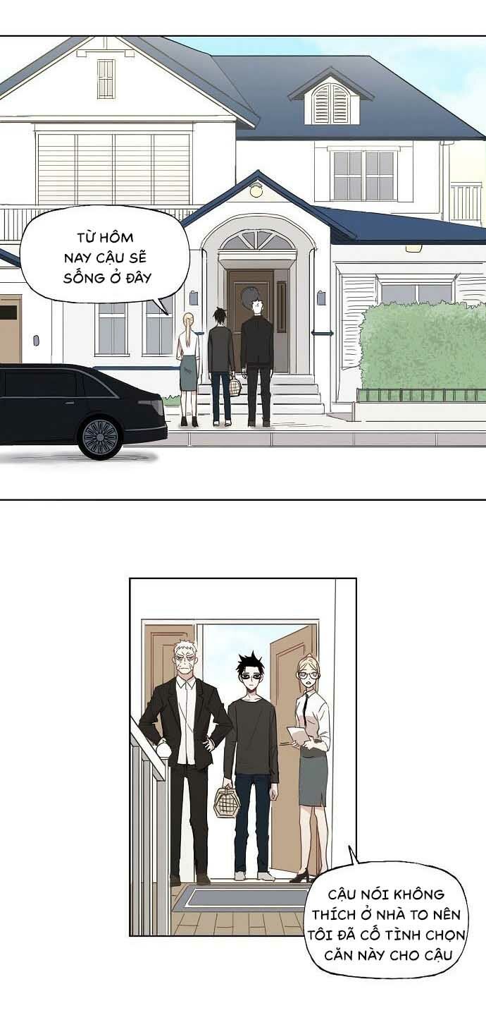 Võ Sĩ Quyền Anh chapter 11 10