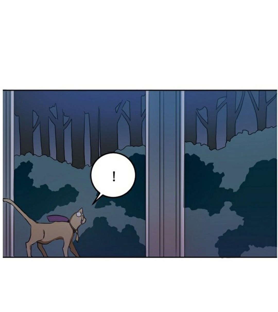 câu chuyện về đứa con hoang bị ghét bỏ chapter 8 47