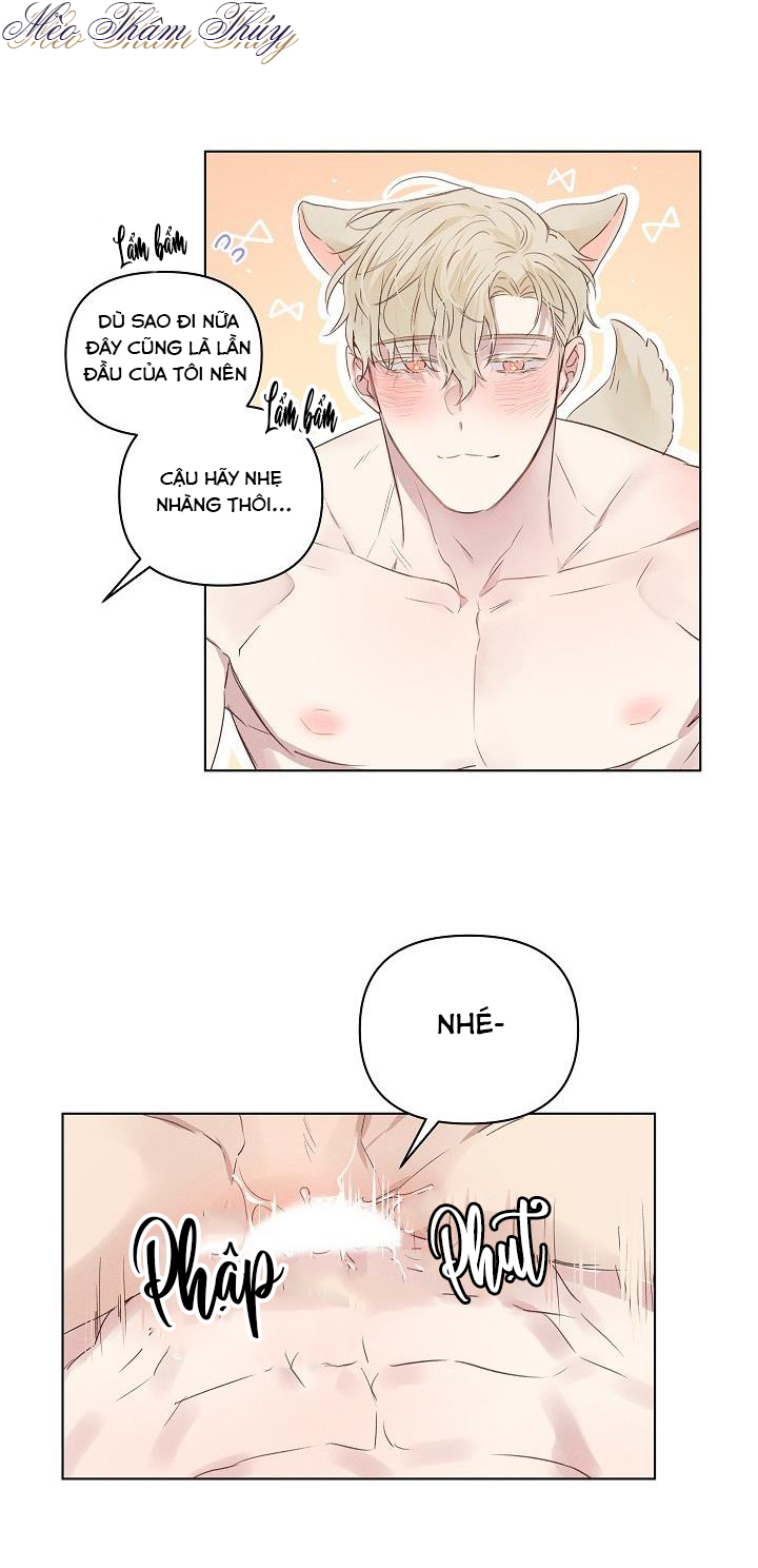 nơi tình yêu định mệnh chapter 4 14