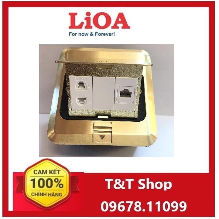 Ổ CẮM ÂM SÀN LẮP Ổ CẮM 2 CHẤU VÀ HẠT MẠNG LIOA