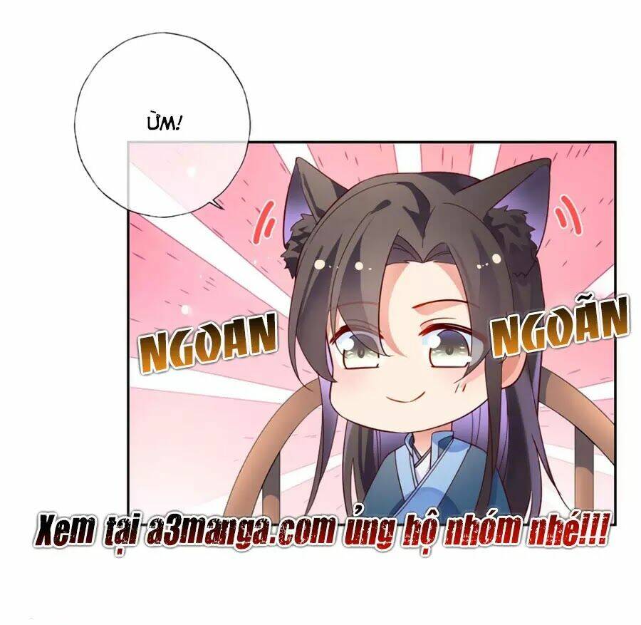 điềm mỹ chi huyết chapter 27.1 34