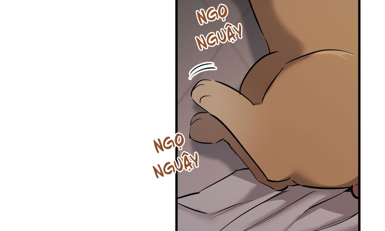 những chú thỏ của hapypy chapter 51 7