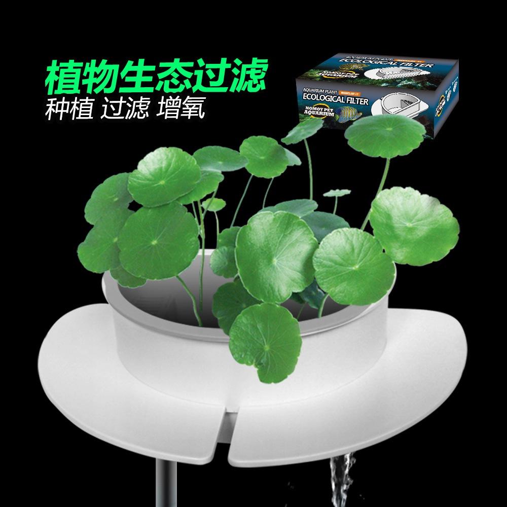 Bộ Lọc Sinh Thái Thực Vật Bể Cá Nomo Không Có Máy Bơm Nước, Thay Nước Bể Cá Im Lặng, Bơm Nước, Bộ Lọc Mực Nước