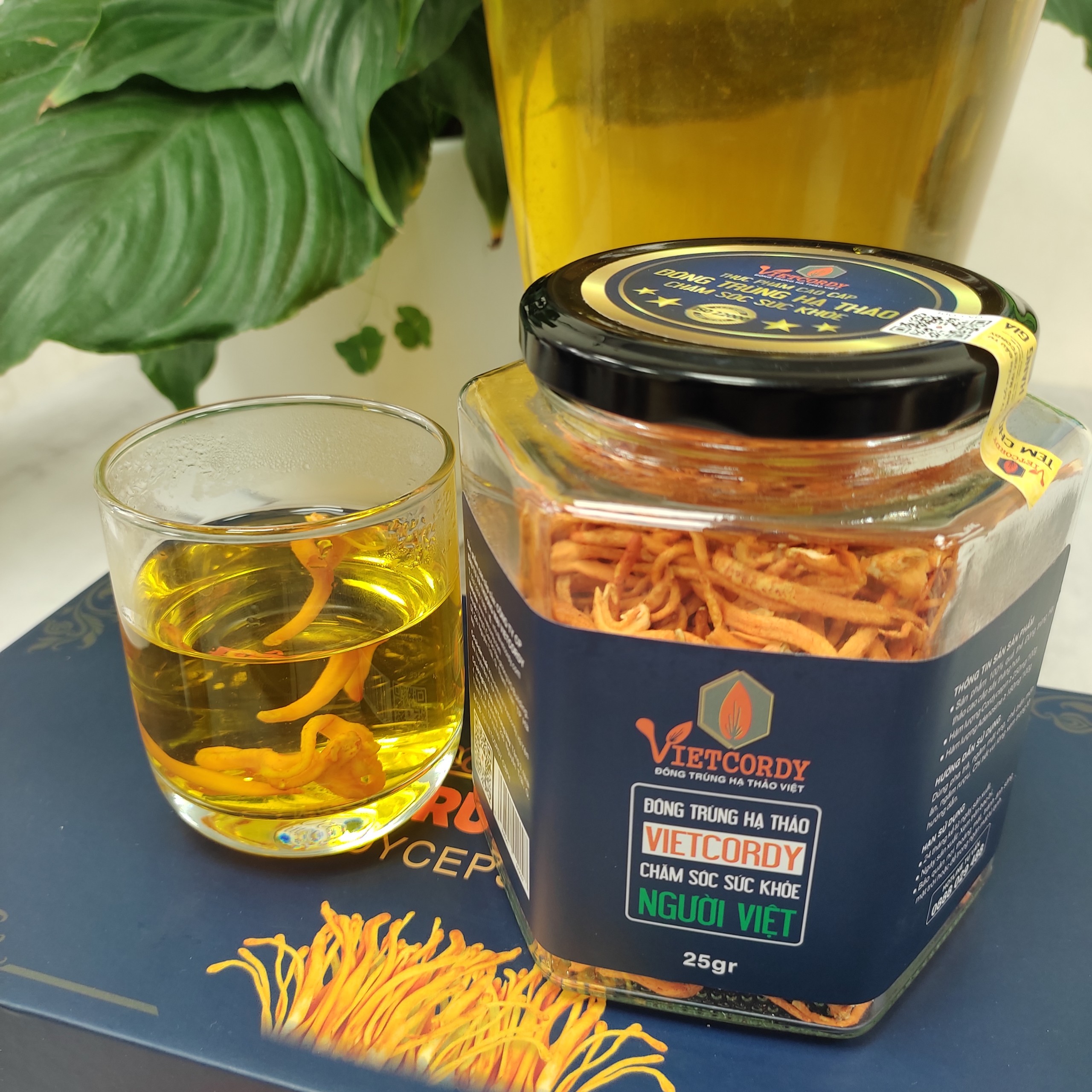 DEAL HOT { ĐÔNG TRÙNG HẠ THẢO CAO CẤP_2 HŨ * 25GR }