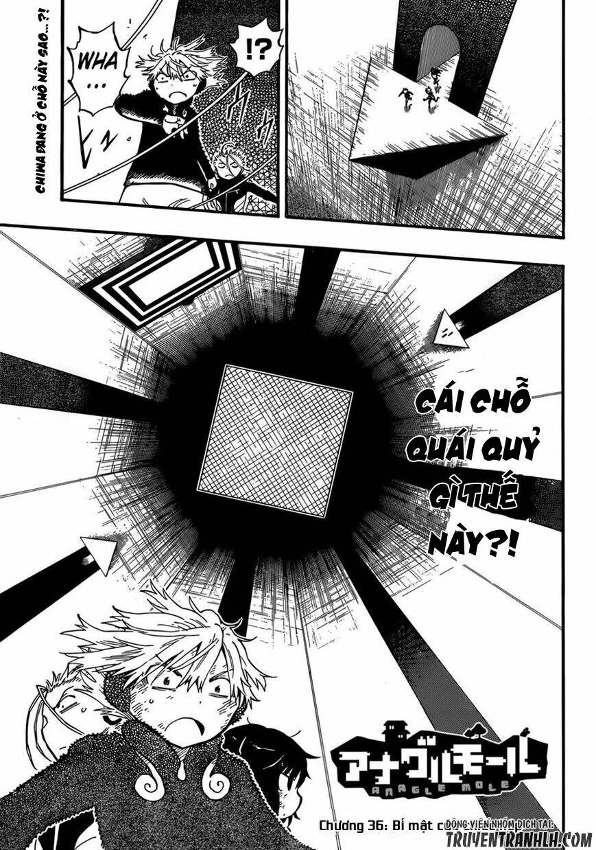 anagle mole chapter 36 2