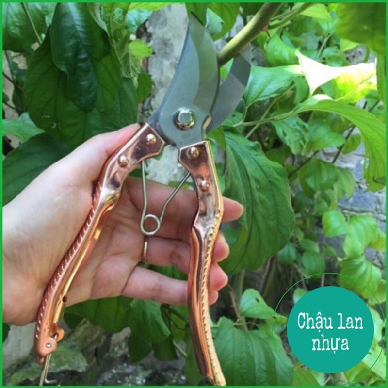 Kéo Cắt Cành TOP SK5 Lưỡi Thép Cán Vàng Vảy Cá, Kéo Cắt Cây Bonsai - Khu Vườn Ban Công