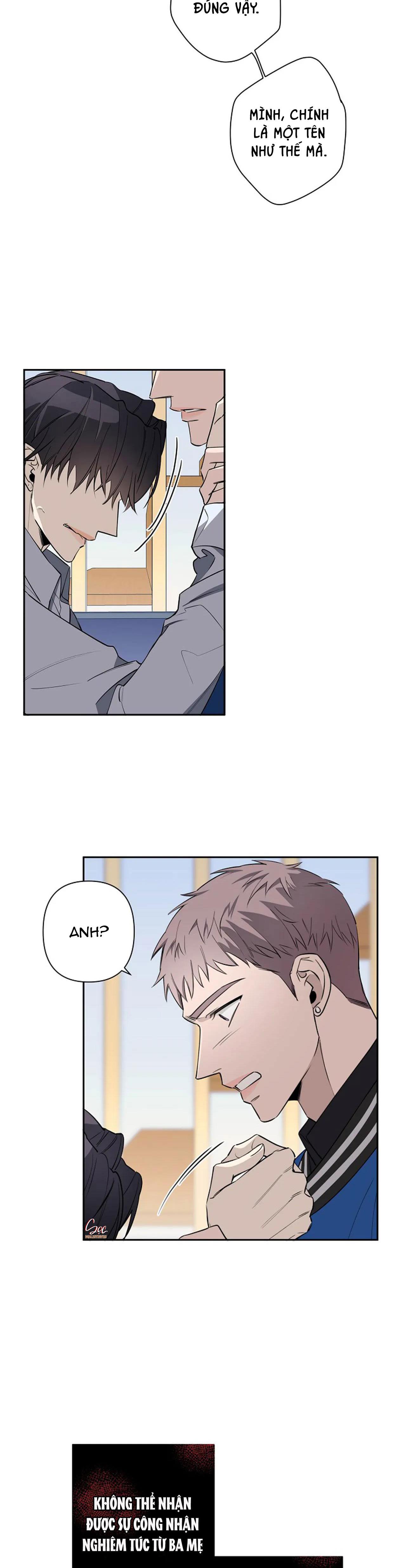 đêm dịu dàng chapter 40 22