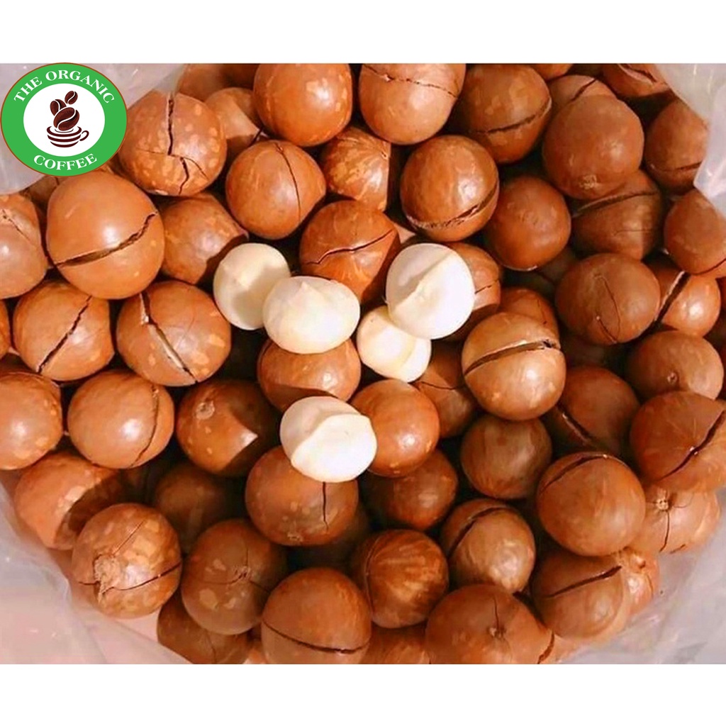 Hạt Macca Sạch Đắk Lắk, Hạt sấy nứt vỏ hạt to, nhân to sấy chín, nhân nhỏ sấy chín, không hôi dầu 500g