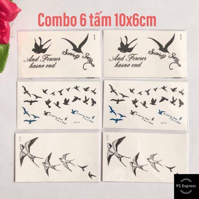 Combo 6 tấm hình xăm dans đàn én bay 10x6cm