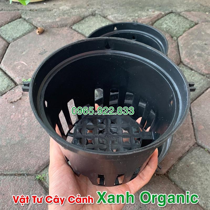 Chậu nhựa trồng lan màu đen Phi 16cm