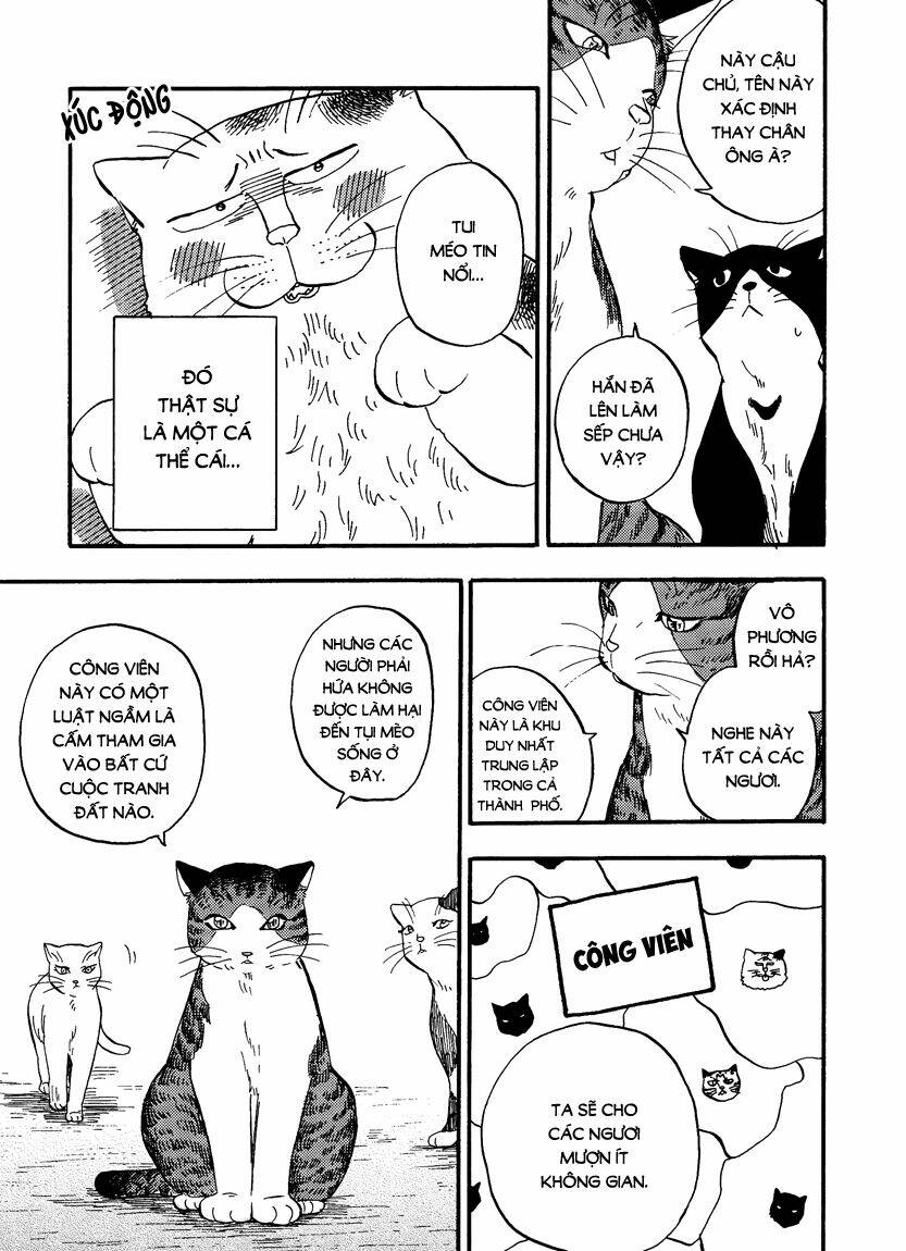 tui là busamen! chapter 7 8