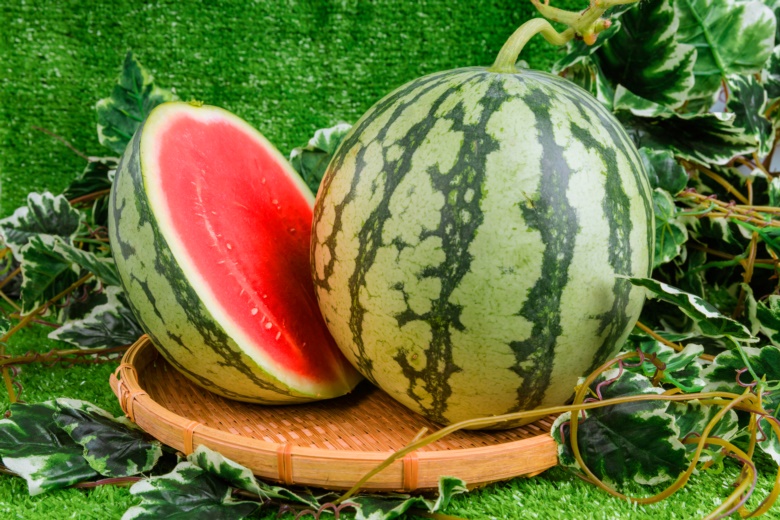 - Dưa hấu ruột đỏ không hạt