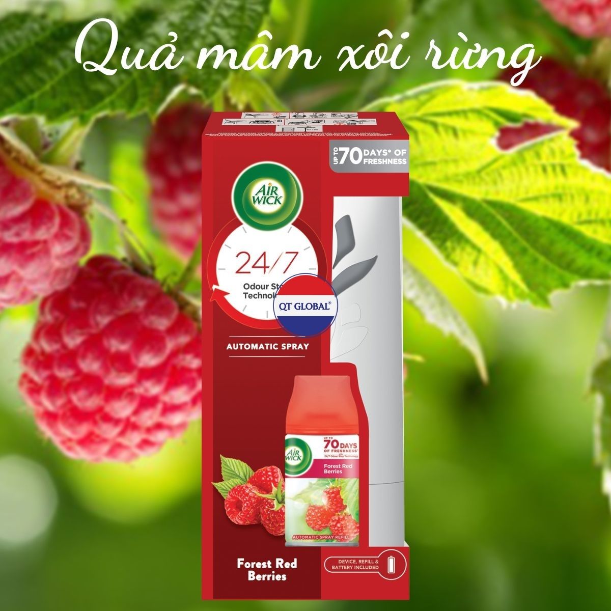 Bộ xịt thơm phòng tự động Air.Wick Forest Red Berries 250ml QT0066 - quả mâm xôi rừng