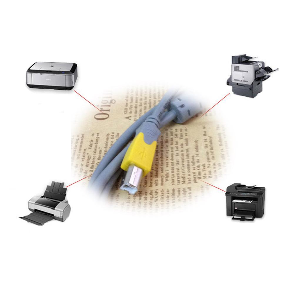 Hi-Speed USB2.0 Printer Scanner Cable Type A Male to Type B Male