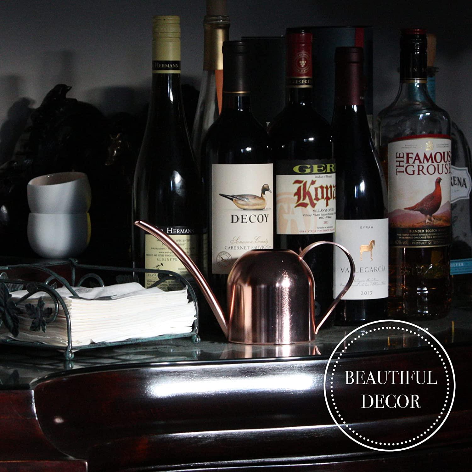 Bình phun bằng thép không gỉ nhỏ cho thực vật trong nhà như cây nhiều thịt