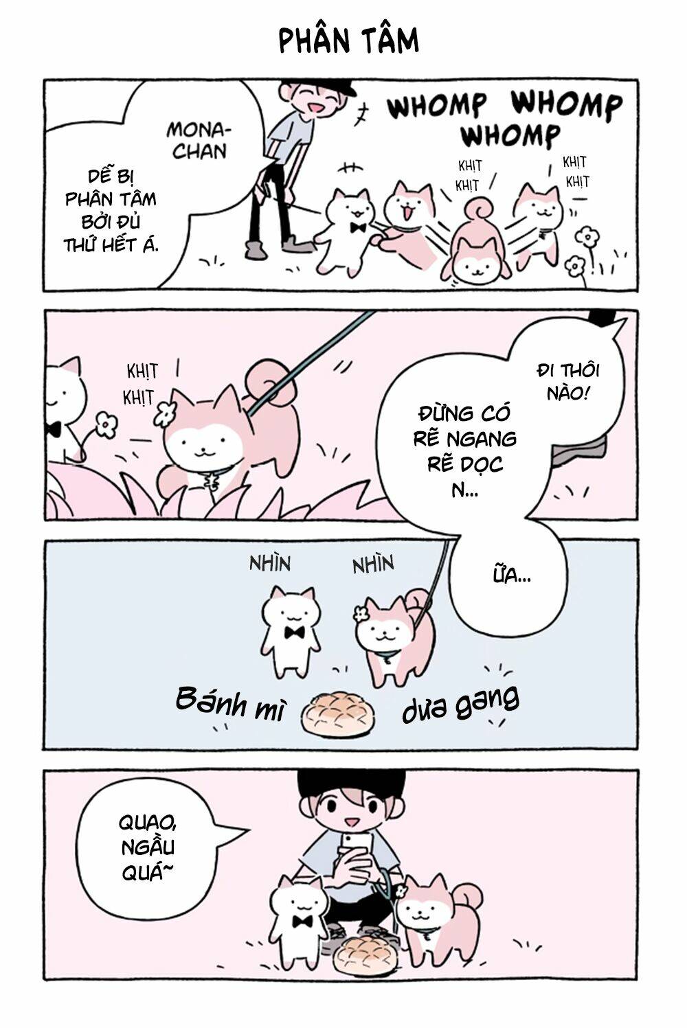 chú mèo kỳ diệu kyuu-chan chapter 621 2