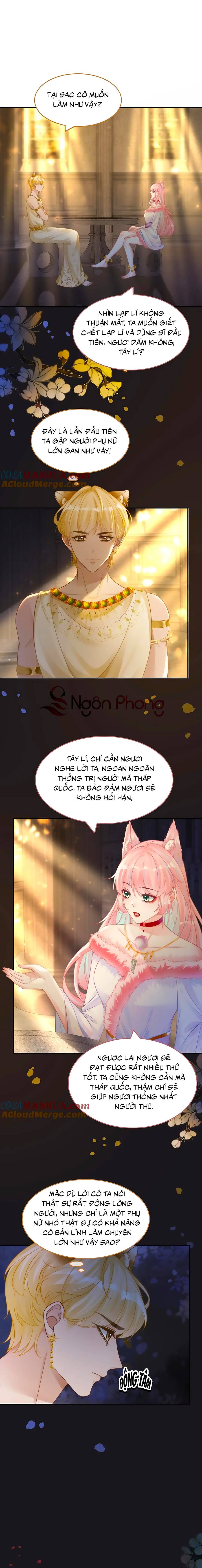 xuyên nhanh nữ phụ bình tĩnh chút chapter 168 9