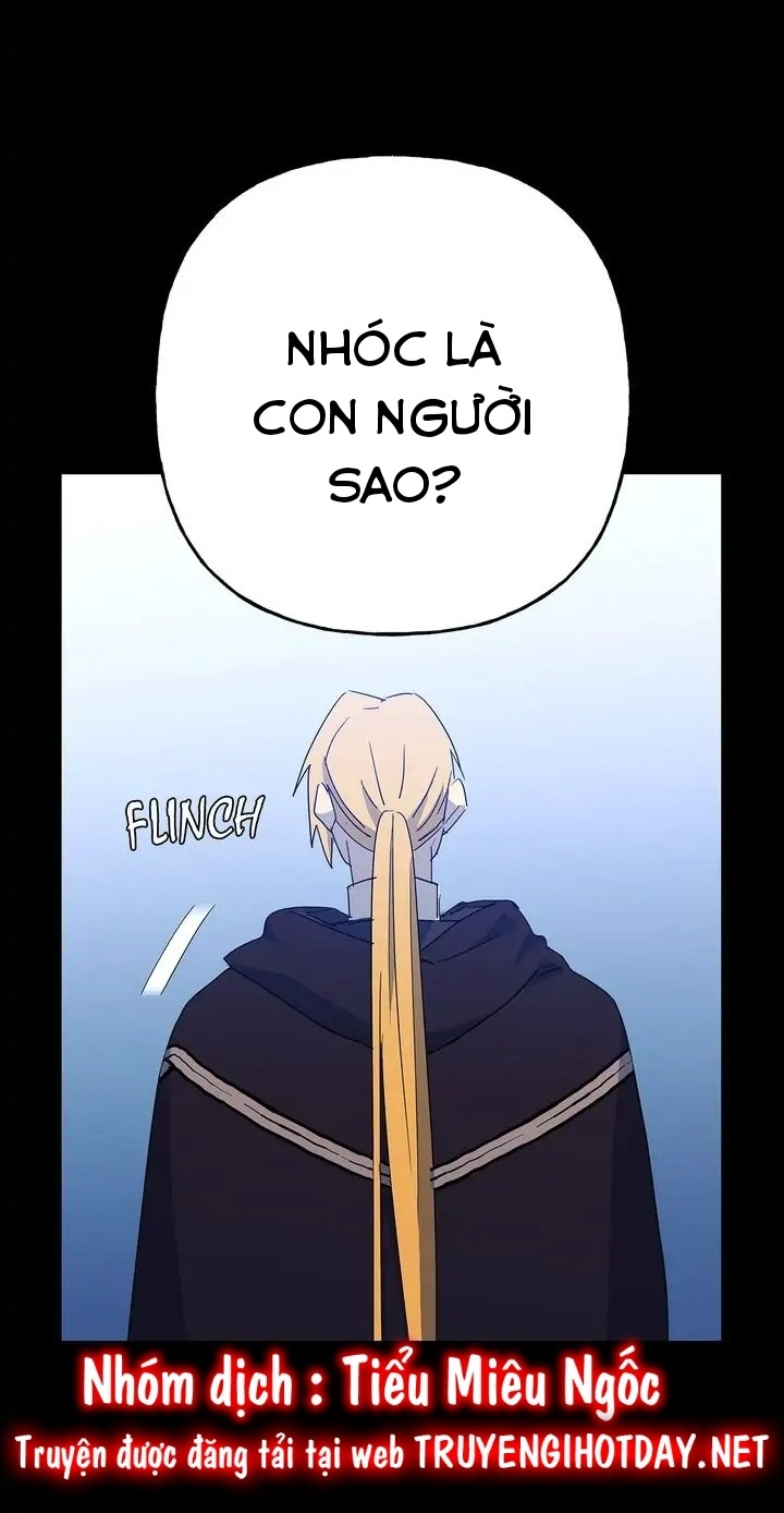 bình tĩnh nào, tiểu thư! chapter 62 70