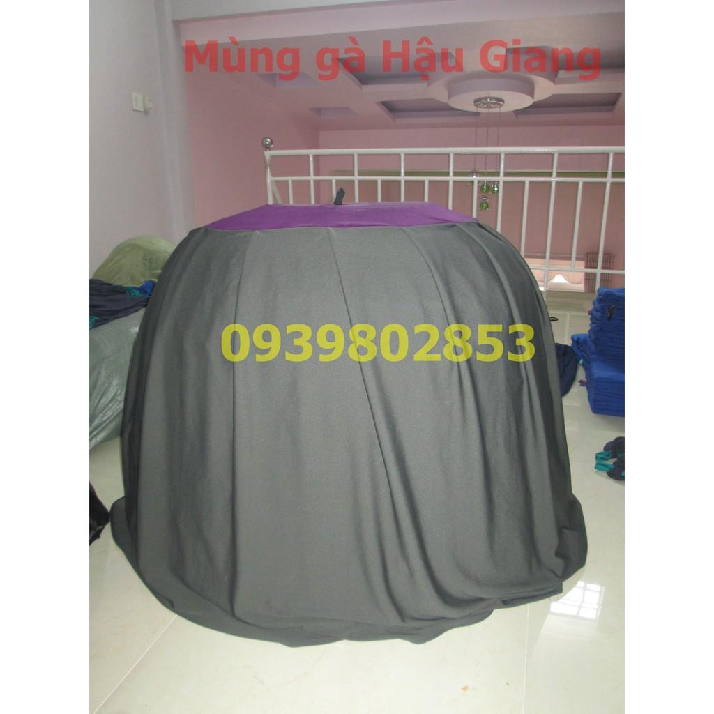 Mùng gà nòi loại tốt