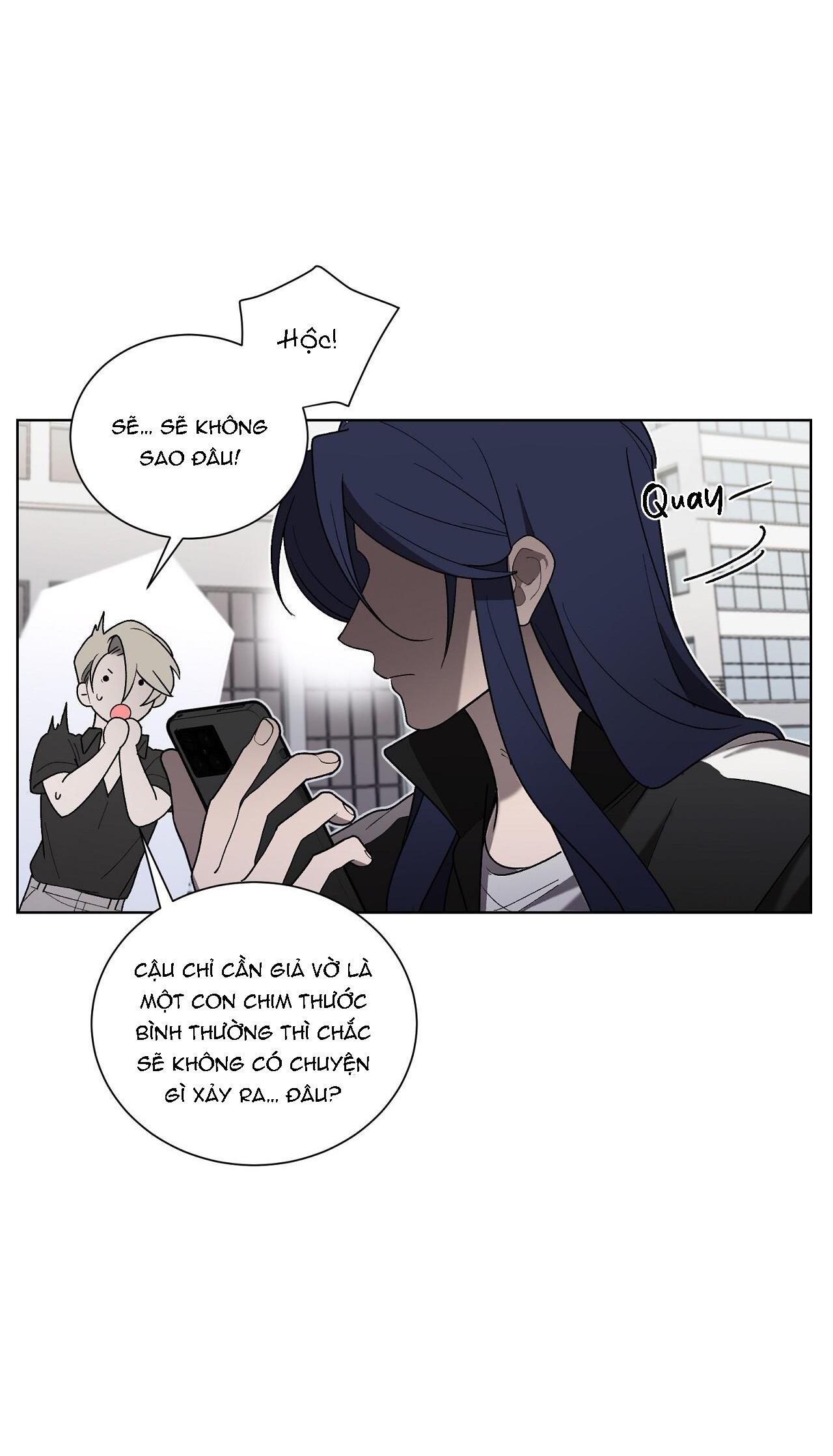 khi chim thước đến chapter 17 69