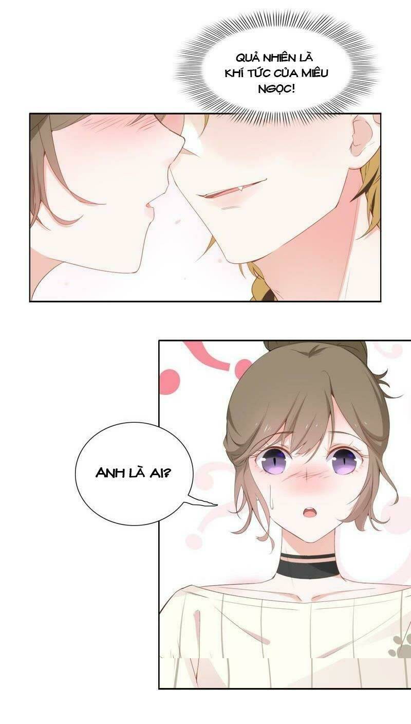 thập nhị hắc miêu chapter 2 1