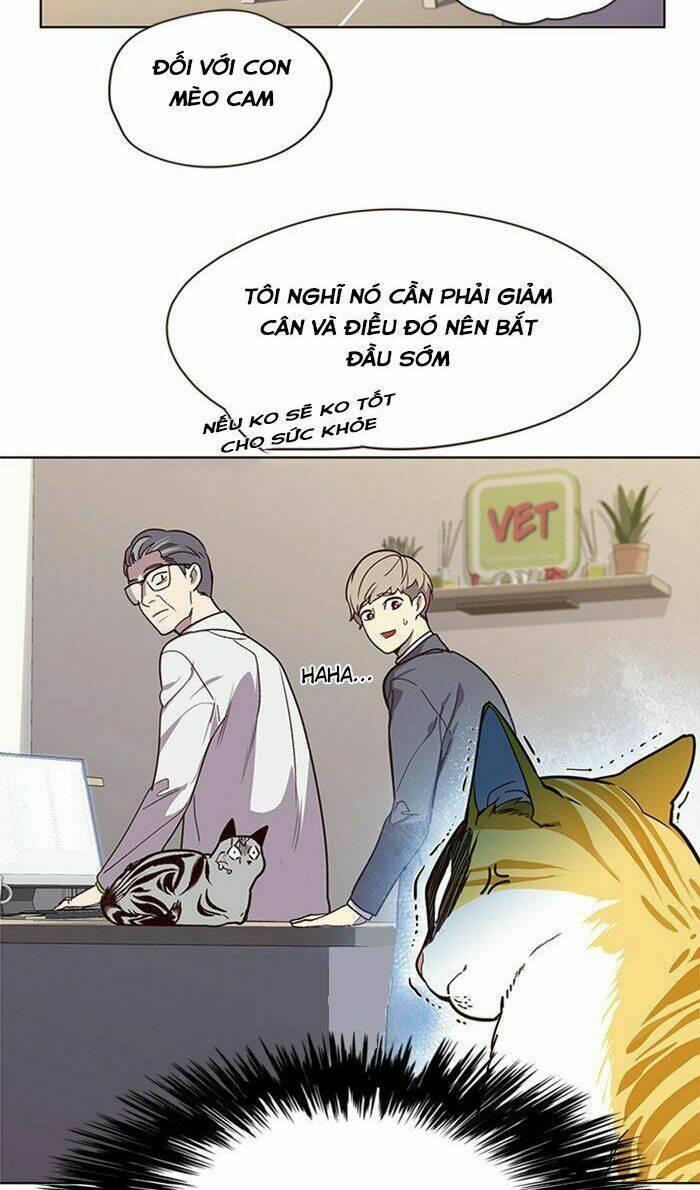 biến thân thành mèo chapter 10 44